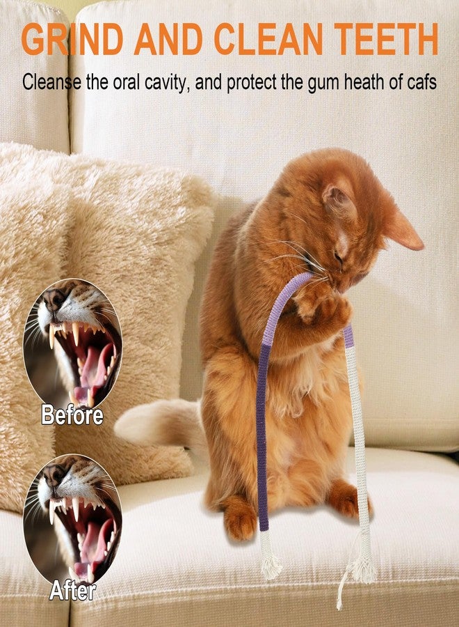 Leitee 21 Pcs Cat Chew Toy with Storage Bags Set 23 Inches Cat Teeth Cleaning Chew Ropes for Indoor Kittens Interactive Kitty Teeth Cleaning Toy for All Breeds - Image 4